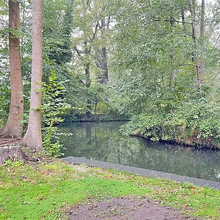 Spreeblick Baum 5 Burg (Spreewald)