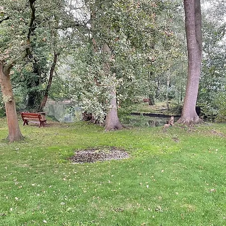 Spreeblick Baum 5 Apartment