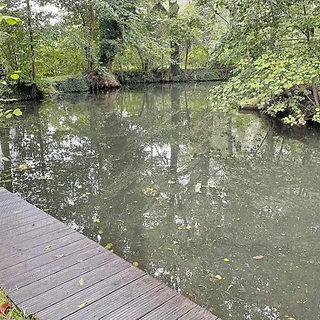 Spreeblick Baum 5 Burg (Spreewald)