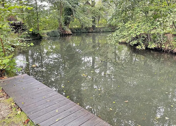 Appartement Spreeblick Baum 5